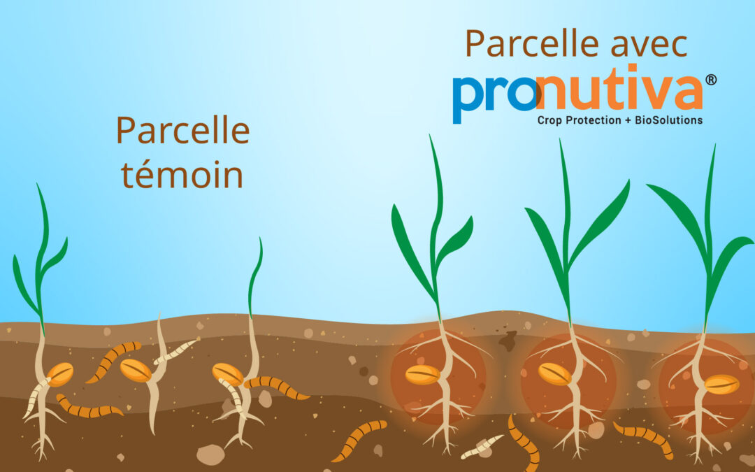 UPL Pronutiva® TS : la vulgarisation au service des ventes