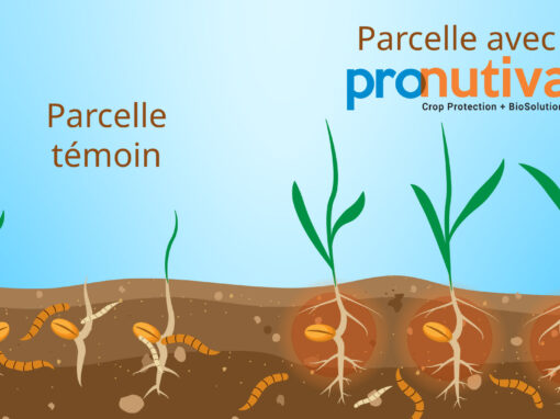 UPL Pronutiva® TS : la vulgarisation au service des ventes